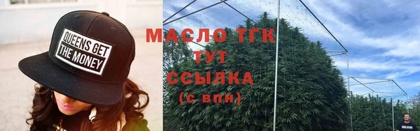 прущие грибы Вязьма